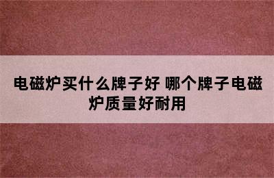 电磁炉买什么牌子好 哪个牌子电磁炉质量好耐用